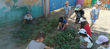Посадили огород, посмотрите, что растёт! Посадили огород, посмотрите, что растёт!.